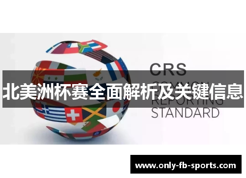 北美洲杯赛全面解析及关键信息