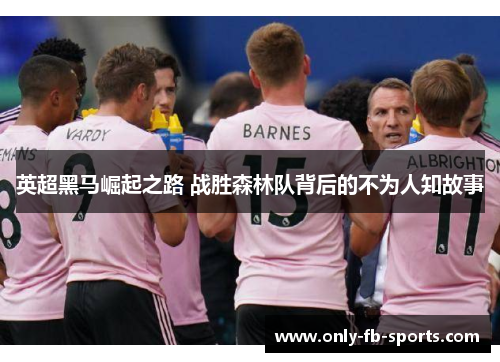 英超黑马崛起之路 战胜森林队背后的不为人知故事