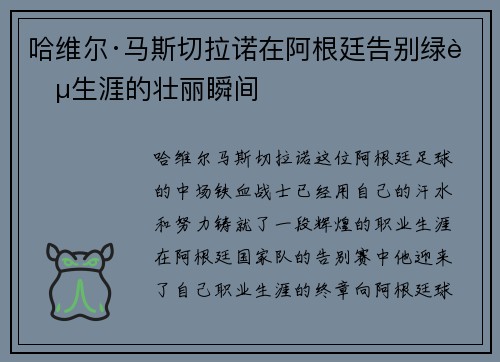 哈维尔·马斯切拉诺在阿根廷告别绿茵生涯的壮丽瞬间